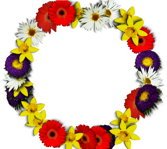 Round Flower Frame Png Img (640x480), Png Download