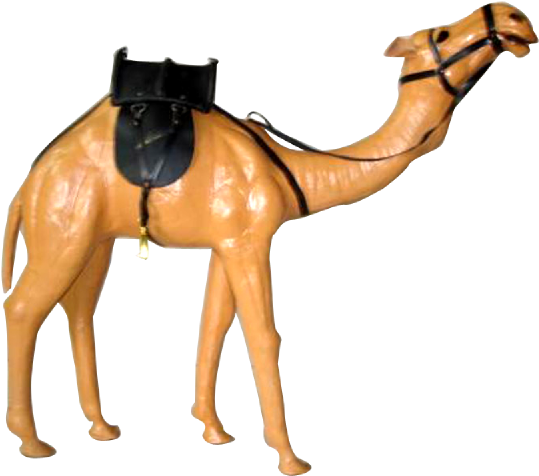 As Per Customer Specification - Arabian Camel (800x600), Png Download