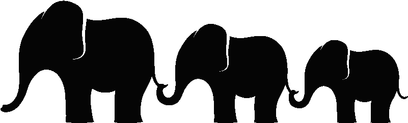 Muursticker Drie Olifanten Op Een Rij - Fila De Elefantes (800x800), Png Download