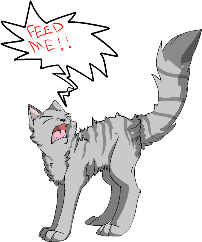 Cartoon Cat Fotos - Cartoon (894x894), Png Download