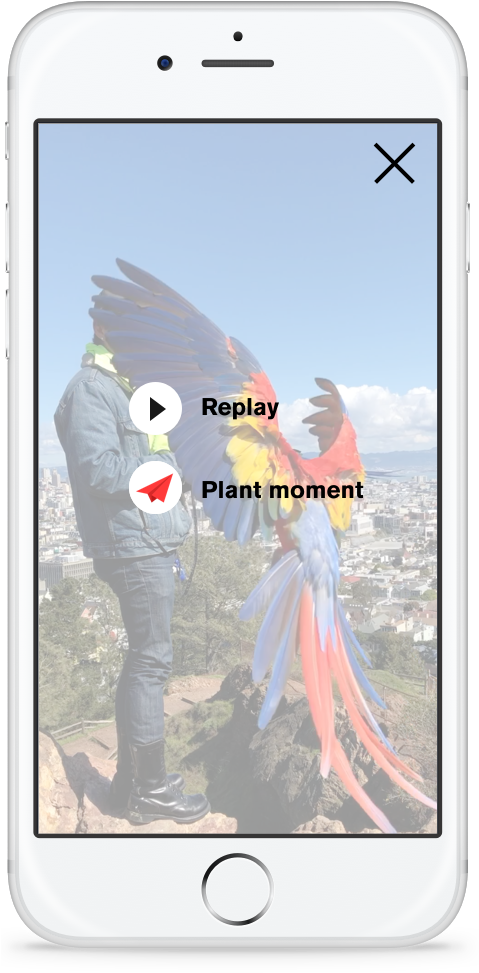 Moment Review - Cockatiel (478x1000), Png Download