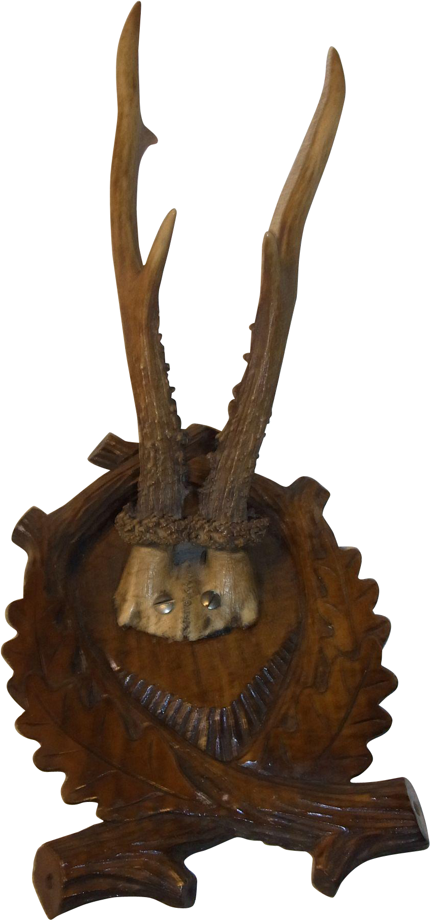 Vintage German Deer Antler Black Forest Wood Base - Statue (1807x1807), Png Download