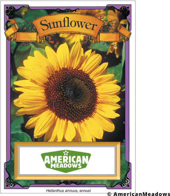 Flower Seeds In A Package (700x700), Png Download