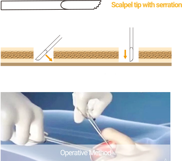 Dentistry (595x528), Png Download