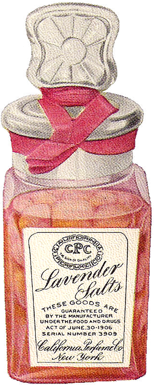 Vintage Beauty Clip Art Download - Vintage Beauty Png (742x1600), Png Download