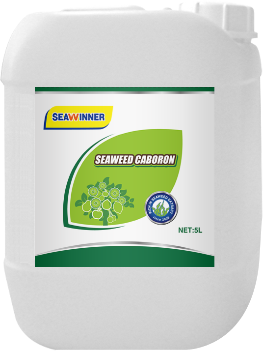 Seaweed Caboron,ⅱseaweed Water Soluble Fertilizer,qingdao - Fertilizer (800x800), Png Download