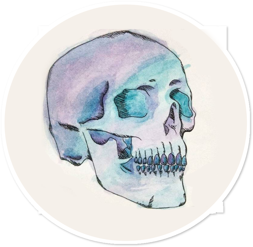 Adesivo Watercolor Skull De Vallentine Andradena - Watercolor Painting (962x962), Png Download