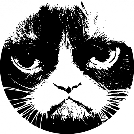 The Revenge Of Folk Politics - Grumpy Cat (460x460), Png Download