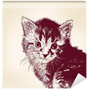 Art Print: Vladischern's Cat Vector Illustration, 30x30cm. (400x400), Png Download