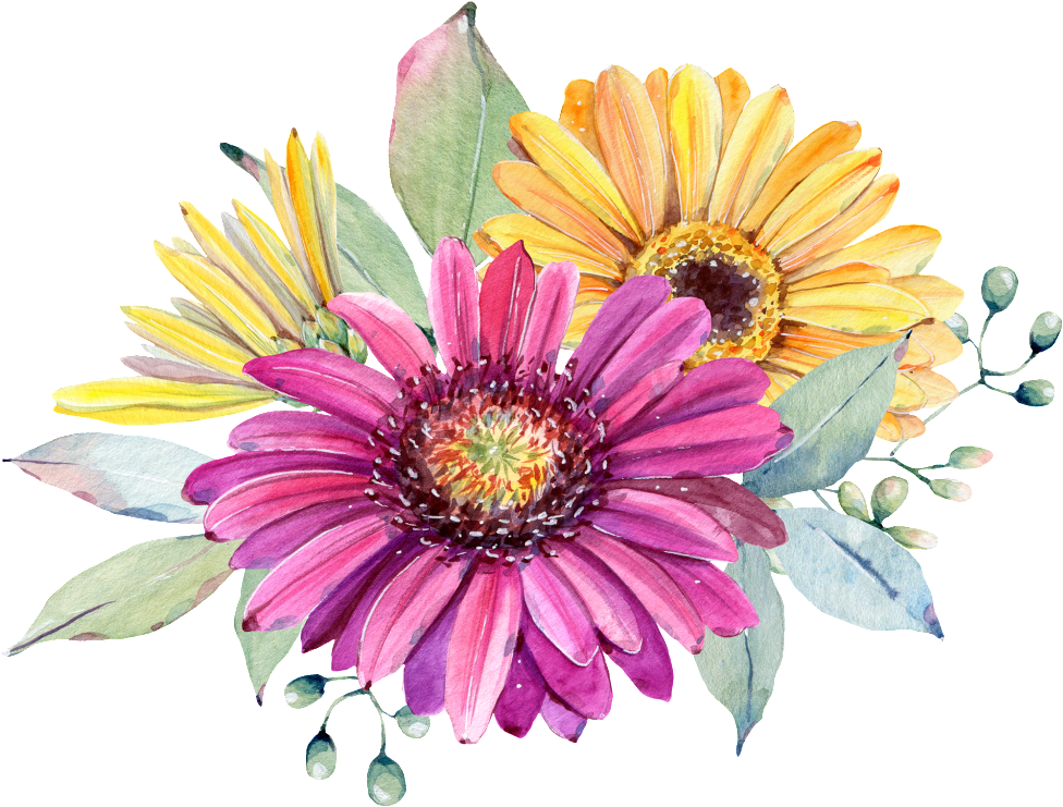Hand Painted Purple Chrysanthemum Png Transparent - Watercolor Painting (1024x778), Png Download