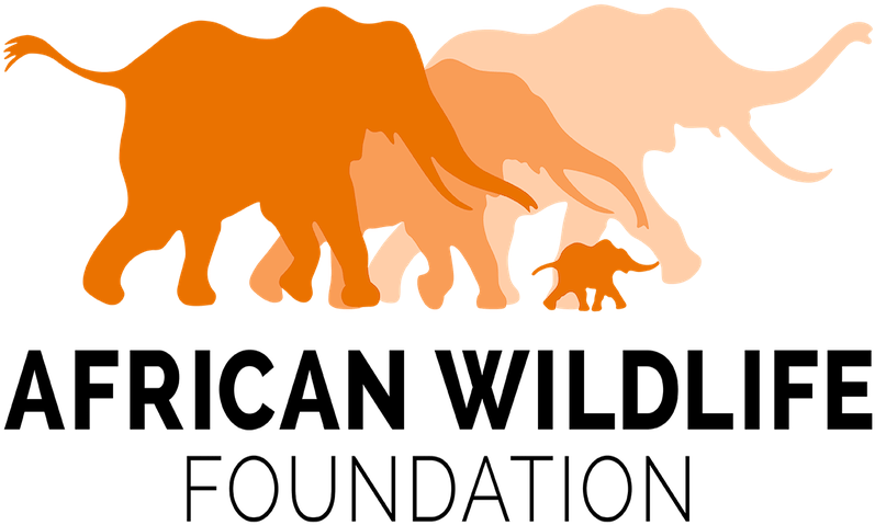 A Place Without People - American Wildlife Foundation (800x496), Png Download