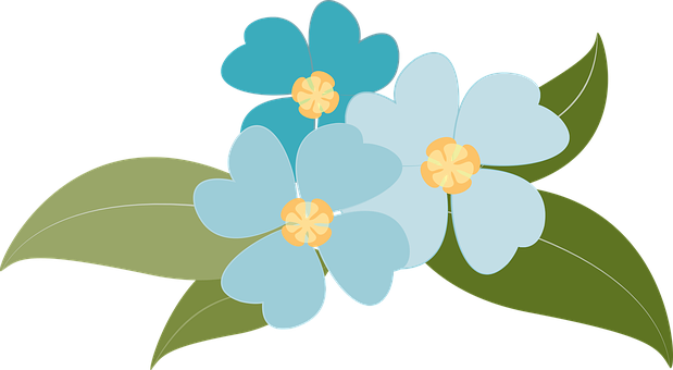 Flowers Plants Blue Botany Nature Plants F - Botany (619x340), Png Download