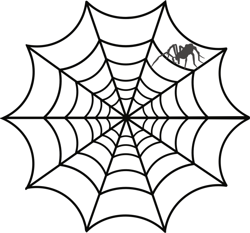 Clipart Download Clip Art Transprent Png Free Download - Spider Web Clipart (800x746), Png Download