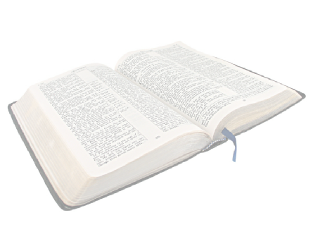 Open Bible Clip Art Png Open Holy Bible Png - Bible White Background (445x339), Png Download