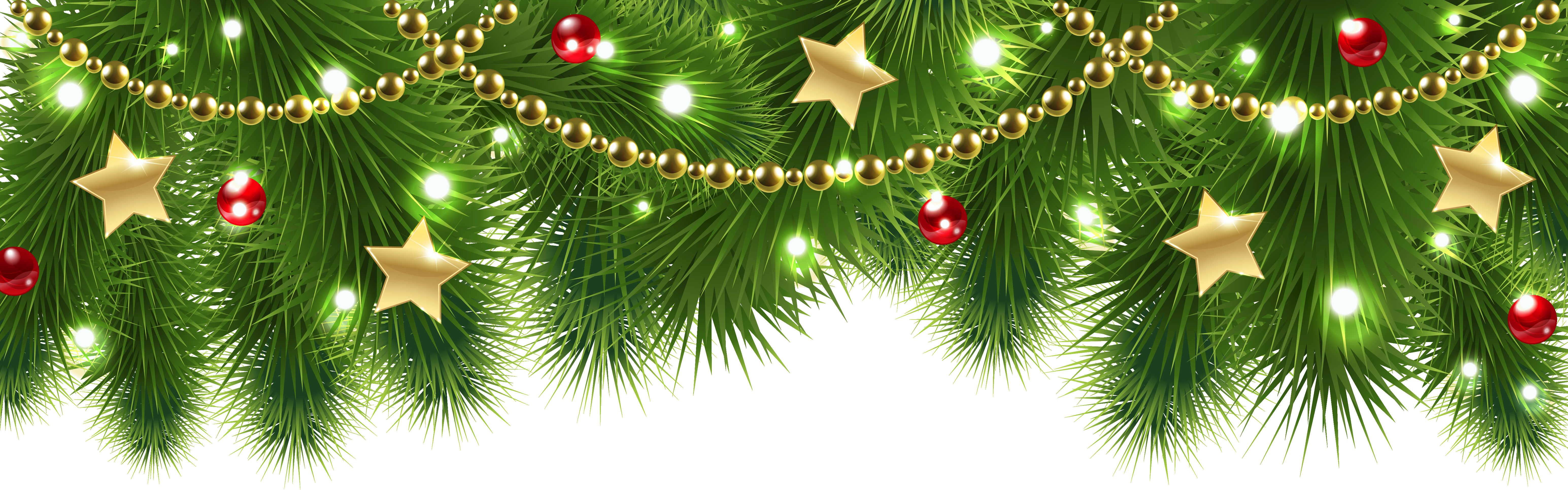 Pine Png (6179x1931), Png Download