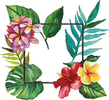 Tropical Frame Floral Decal - Marco Tropical Png (374x342), Png Download