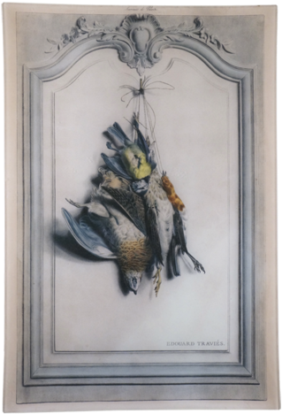 John Derian Wall Haning Decoupage Plaque - John Derian (480x480), Png Download