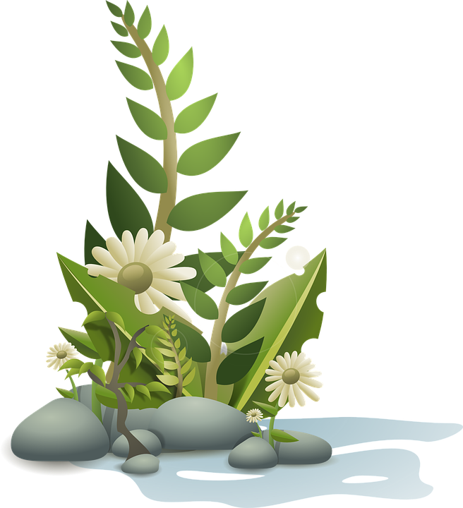 Plants, Flower, Flowers, Cartoon, Free, Plant, Tropical - Plants Clipart (583x640), Png Download