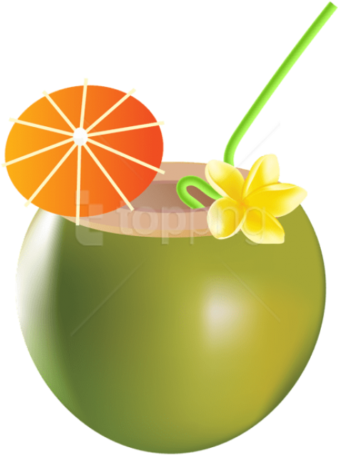 Download Summer Drink Clipart Png Photo - Summer Drink Clipart (480x646), Png Download