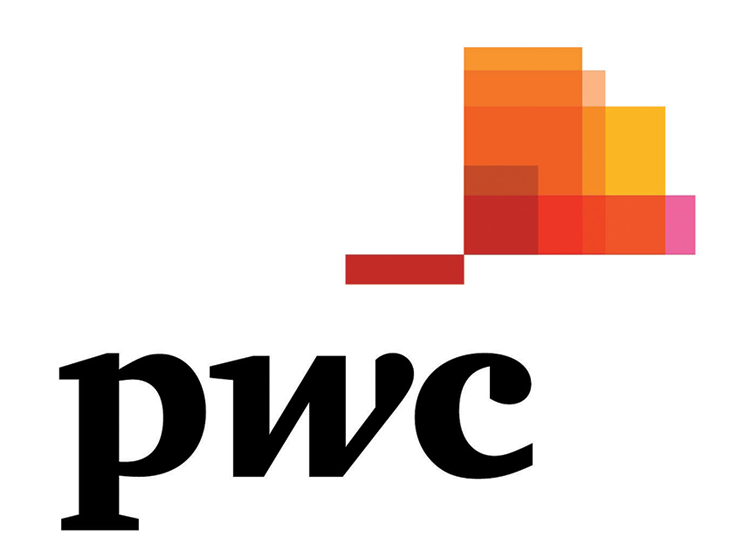 Company Type Forum Sponsor Website Http - Pwc New (850x638), Png Download