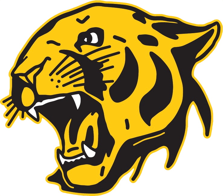 Cougars In The News - Capo Valley High School Logo (739x650), Png Download