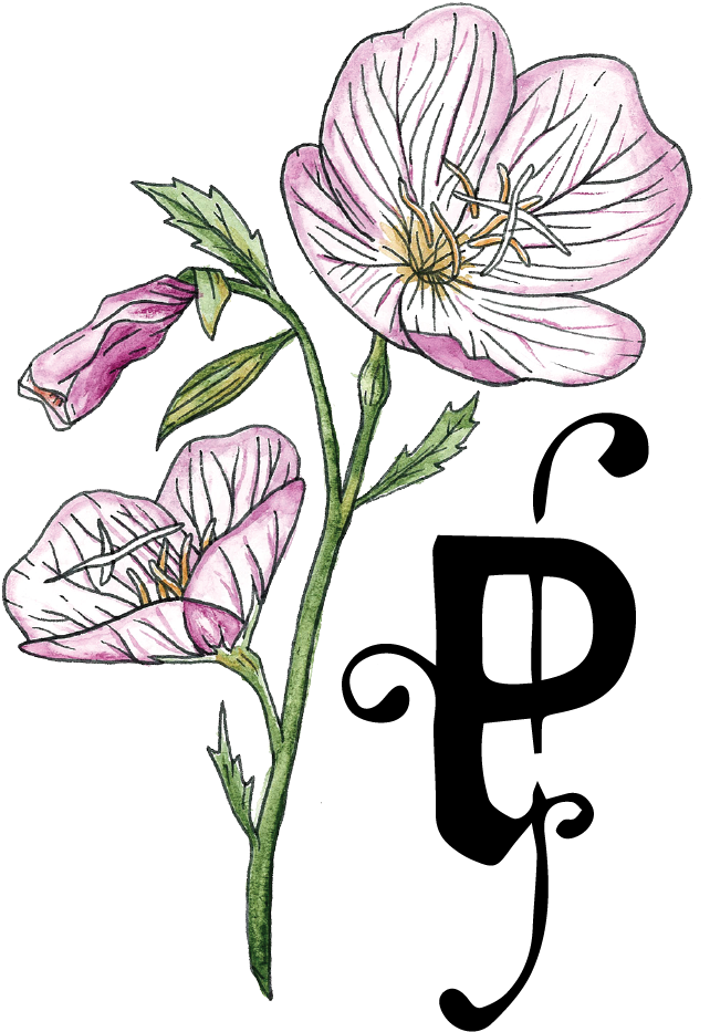 Gift Card Welcome At Primrose - Balloon Flower (662x945), Png Download