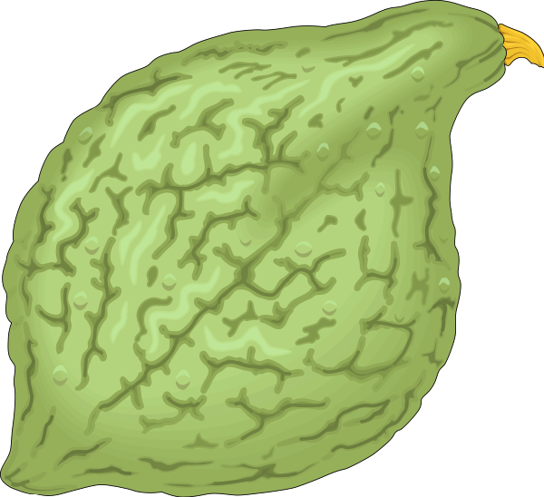 Vegetables 06 Png Clip Arts (600x548), Png Download