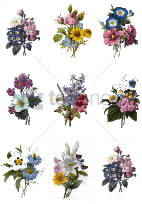 Free Png Colorful Flowers Tattoo Designs Png Image - Colorful Flower Tattoo Designs (480x688), Png Download