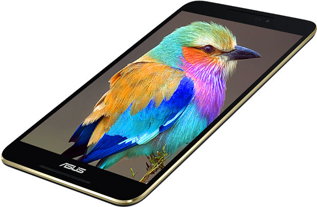 Fonepad - Lilac Breasted Roller Bird (637x529), Png Download