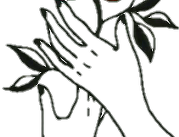 Aesthetic Clipart Rose - Aesthetic Rose Drawing Png (640x480), Png Download