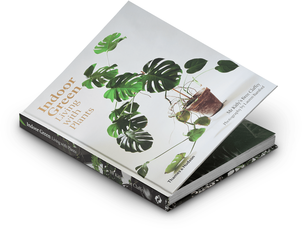 Book - Living With Plants Book (1100x900), Png Download