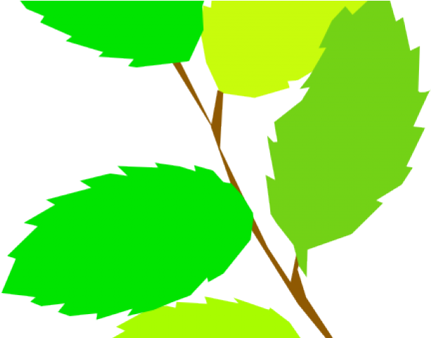 Green Leaves Clipart 5 Leave - Plant With 5 Leaves Clipart (640x480), Png Download