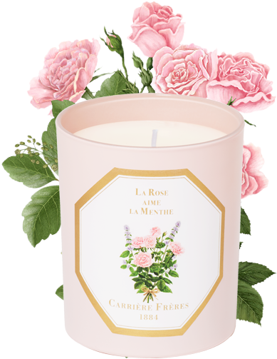 La Rose Aime L'ambre - Hybrid Tea Rose (556x556), Png Download