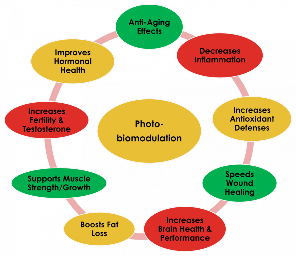 Benefits Of Pbm Therapy - Circle (1024x886), Png Download