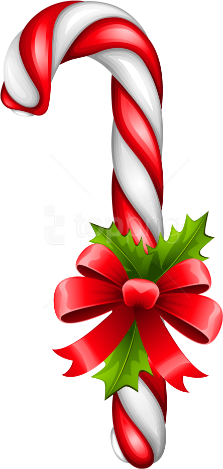 Free Png Download Christmas Candy Clipart Png Photo - Christmas Candy Cane Png (480x974), Png Download