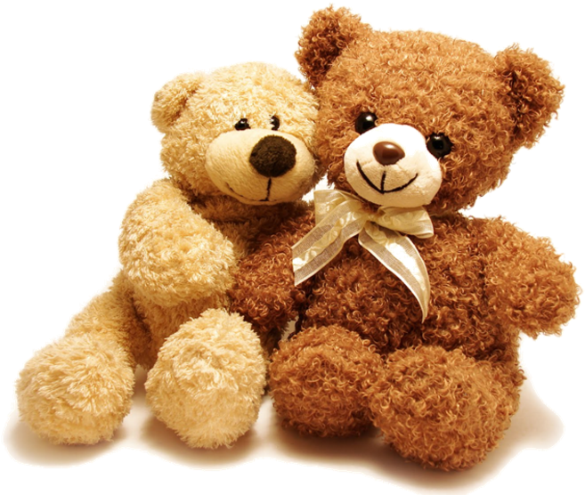 We Believe That The Church Is An Important Place Of - 2 Teddy Bears (800x599), Png Download