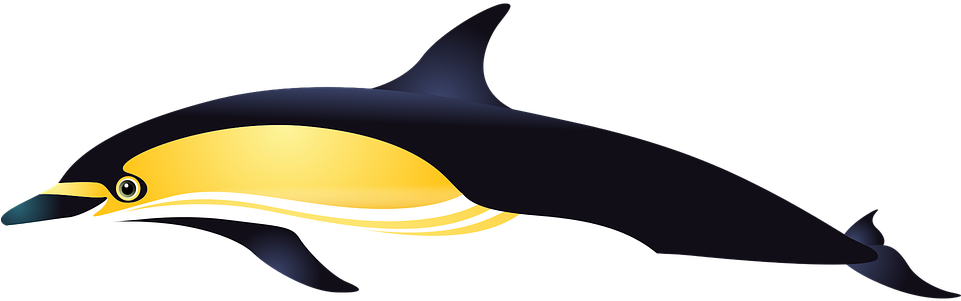Dolphin Sea Fish Aquarium Tropical Fish Fishes - Warna Ikan Lumba Lumba (960x480), Png Download