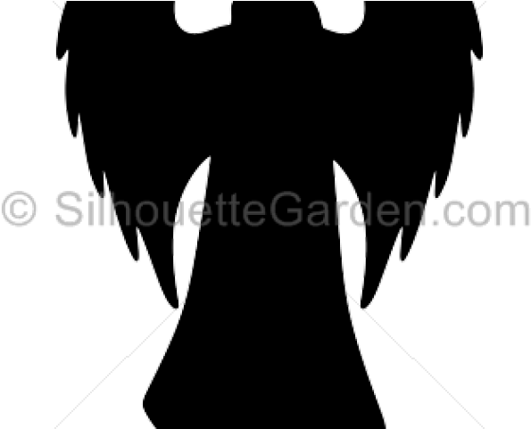 Fsc (640x480), Png Download