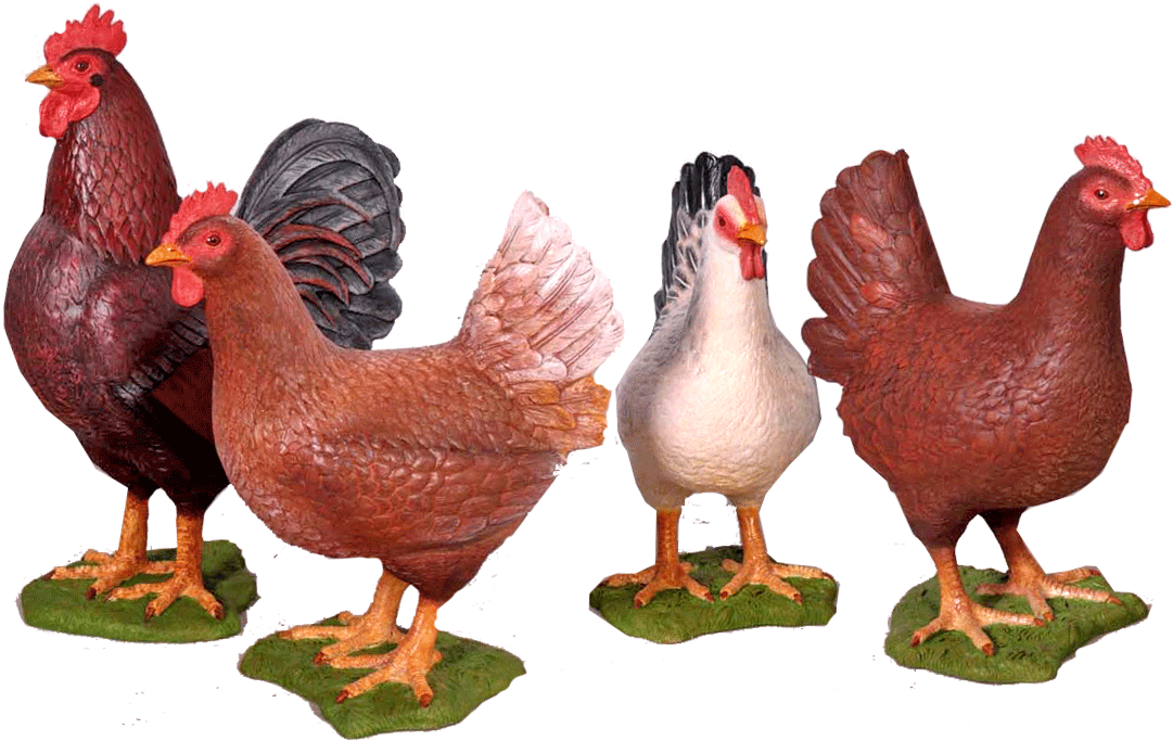 Life Size Fibreglass Rooster - Rooster (1081x683), Png Download
