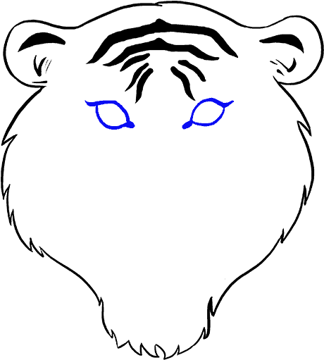 678 X 600 3 - Tiger Drawing Easy Face (678x600), Png Download