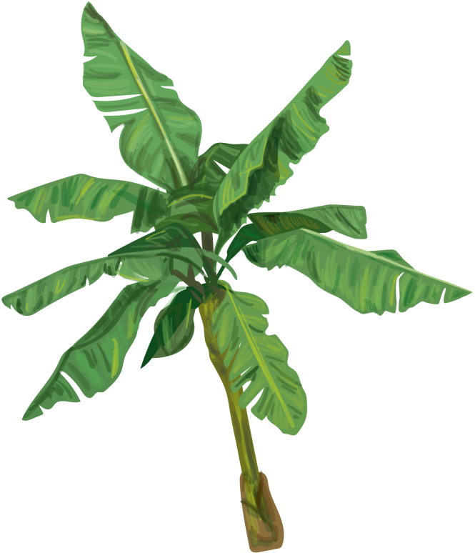 Platanero Png - Toy (700x811), Png Download
