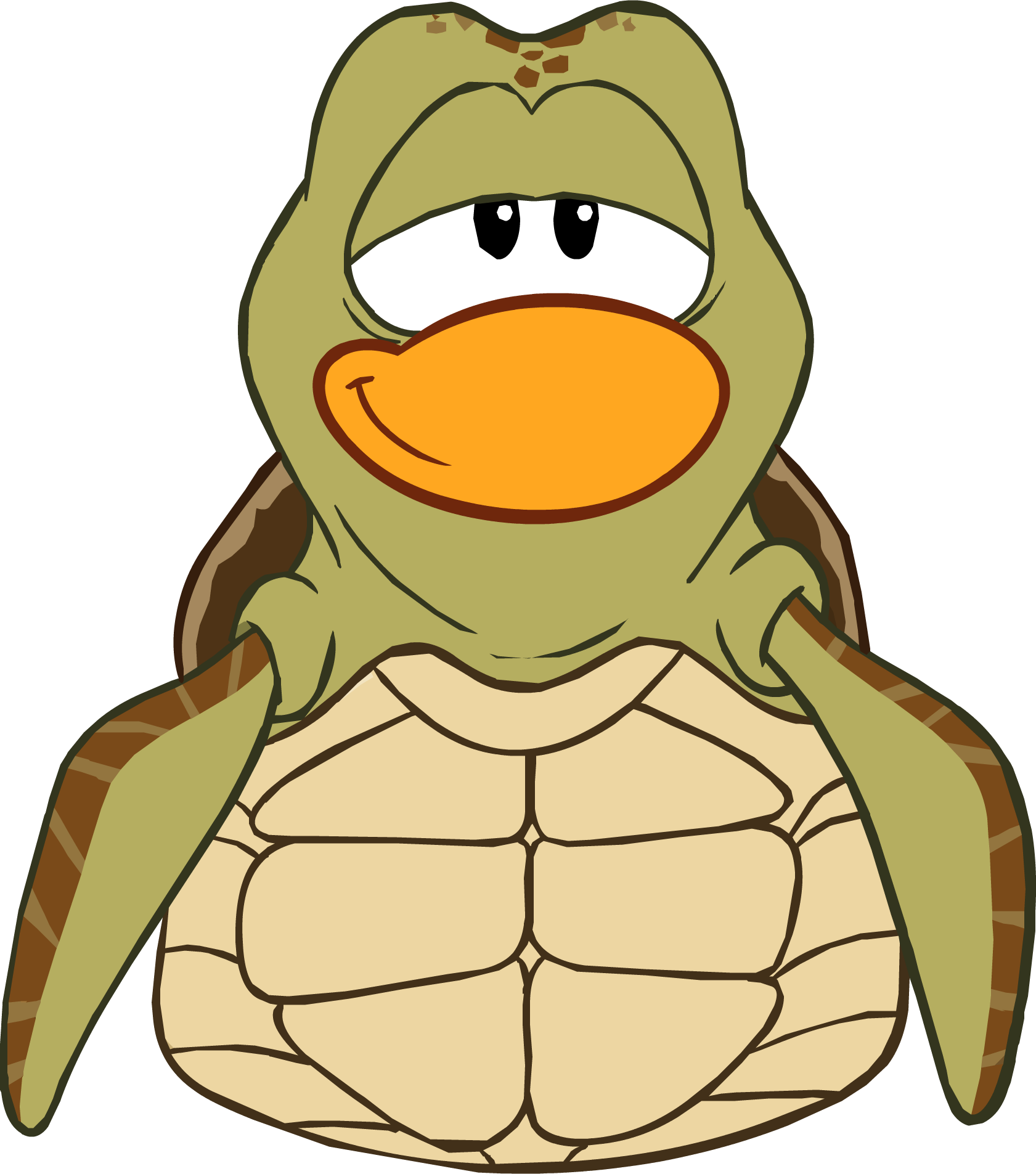 Crush Costume Club Penguin Wiki Powered By - Club Penguin Finding Dory (1681x1905), Png Download