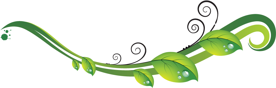 Leaf Banner Png - Logo Leaf Banner Png (1118x383), Png Download