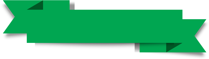 Greenbannerwinter2014 - Rochester Area Sports Banquet (1280x1024), Png Download