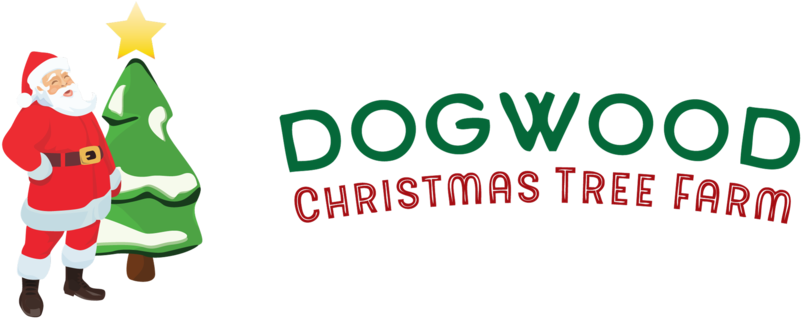 Snowy Tree Png (1000x374), Png Download