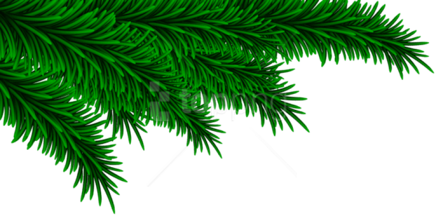 Free Png Christmas Pine Branches Decorating Png - Christmas Pine Branch Png (850x421), Png Download