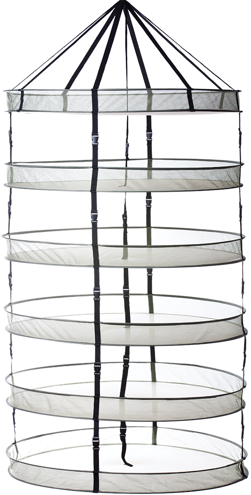 Buckle Dry Racks - Drying (507x1000), Png Download