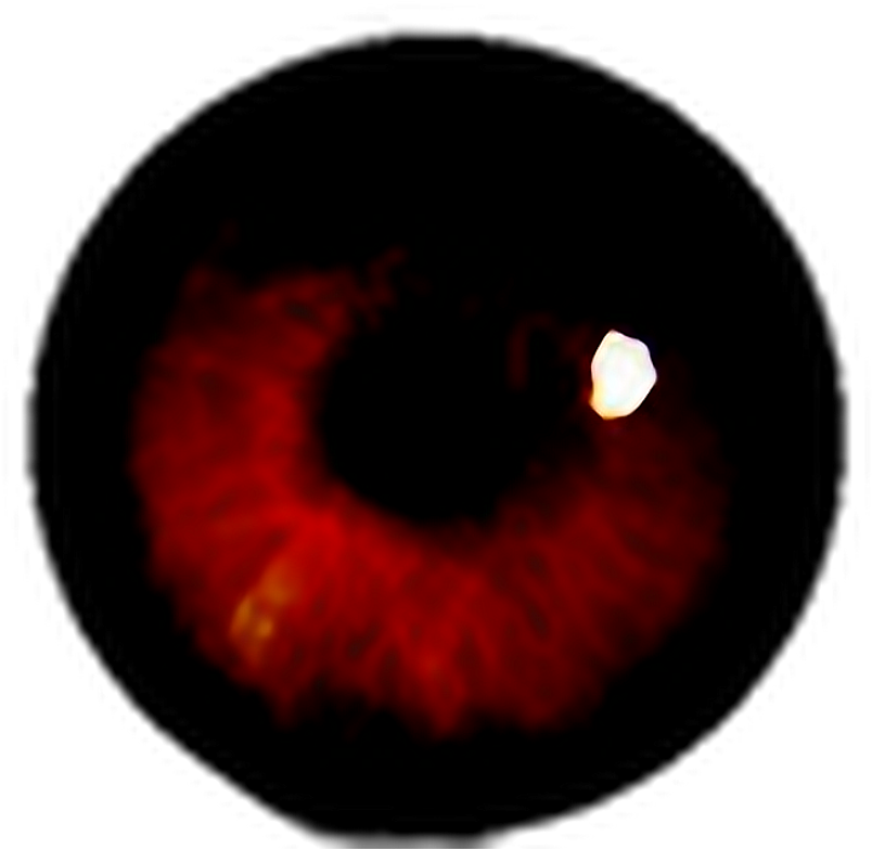 #terror #ojo #sangre #halloween #happyhalloween #stiker - Circle (1024x798), Png Download