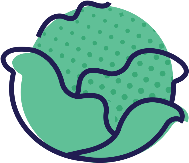 Cabbage (1100x1100), Png Download