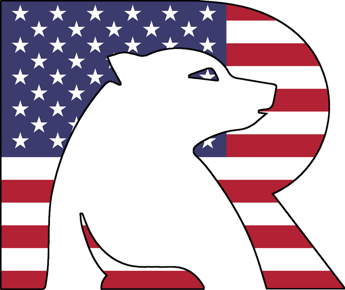 Rtic Outdoors - American Flag Gay (1200x1008), Png Download